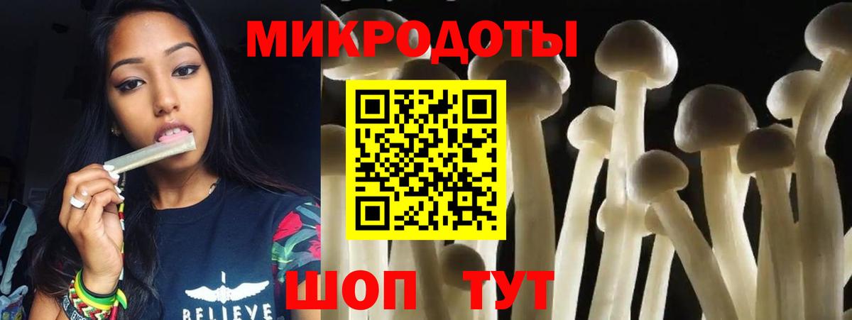 Славгород  Псилоцибиновые грибы GOLDEN TEACHER  Вход с VPN 